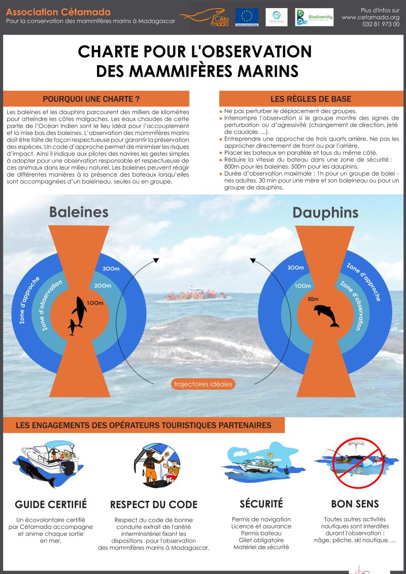 Poster+Charte FR observation des mammifères marins
