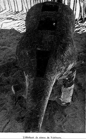 Histoire de l'éléphant VORIVATO de AMBOHITSARA by RANGERS TSIHALIGNO 