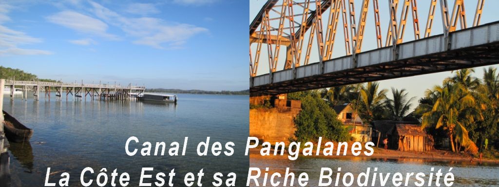 Canal des Pangalanes La Cote Est et sa riche Biodiversité